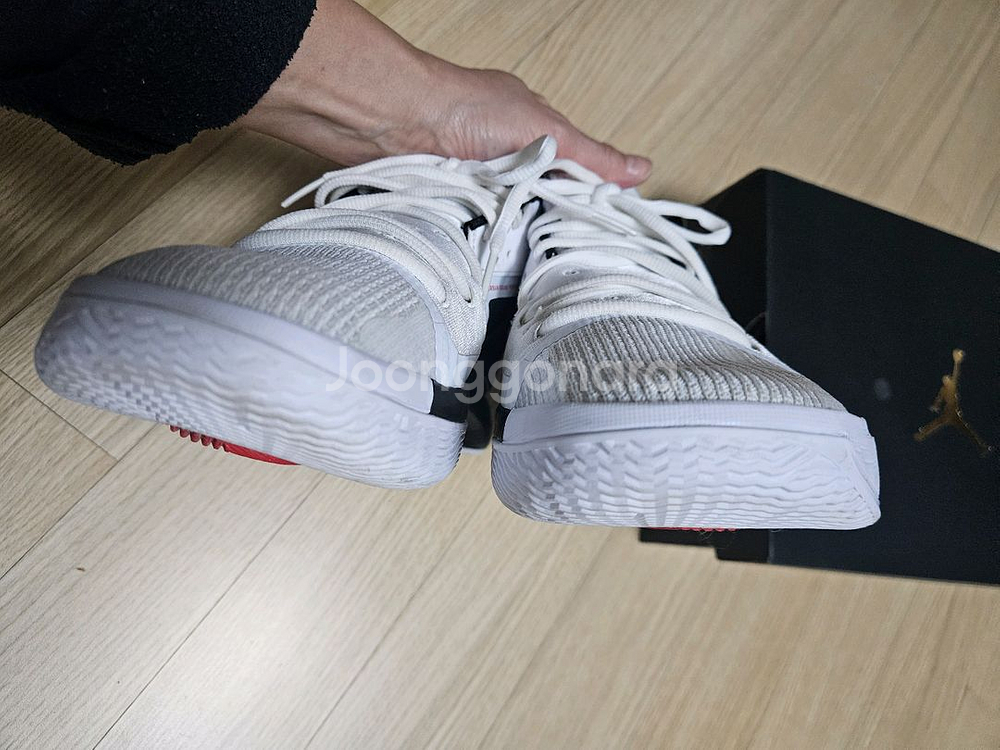 조던 줌 세퍼레이트 농구화 290--5