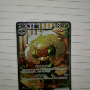 포켓몬카드 엘풍SAR 팝니다