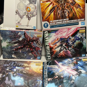 MG 데스티니 비다르 빌드스트라이크 더블오라이저 이지스