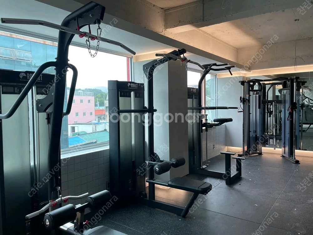 중고 로버스트--0