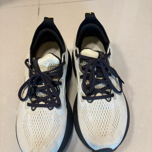 브룩스 GTS 글리세린 22 샌드베이지 러닝화 250m