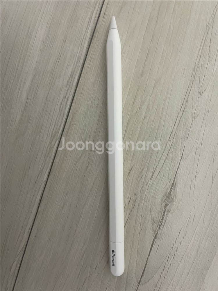 애플펜슬 usb-c (아이패드10부터 호환 가능)--0