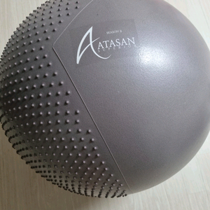 아따산 투페이스 안티버스트 짐볼