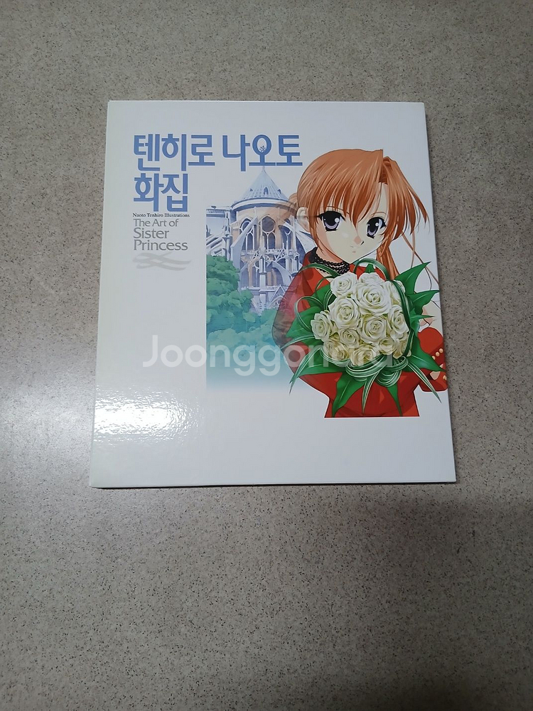 텐히로 나오토 화집--0