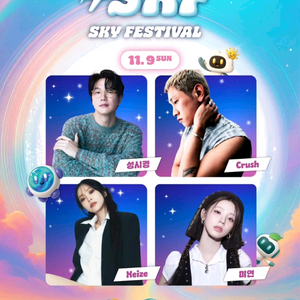 11/9 스카이 페스티벌 308구역 1자리 3만 판매