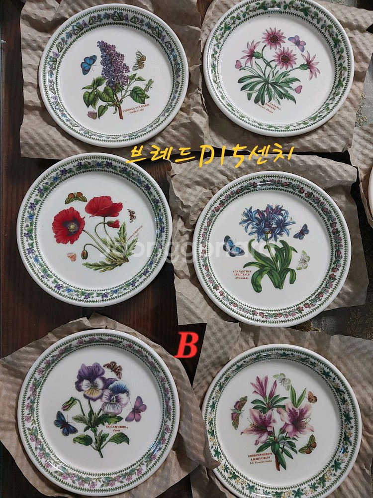 포트메리온 뉴베리에이션 브레드 D형6p--0