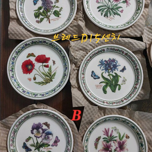 포트메리온 뉴베리에이션 브레드 D형6p