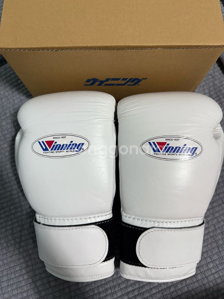 위닝 12온스 벨크로 글러브 화이트 색상--1