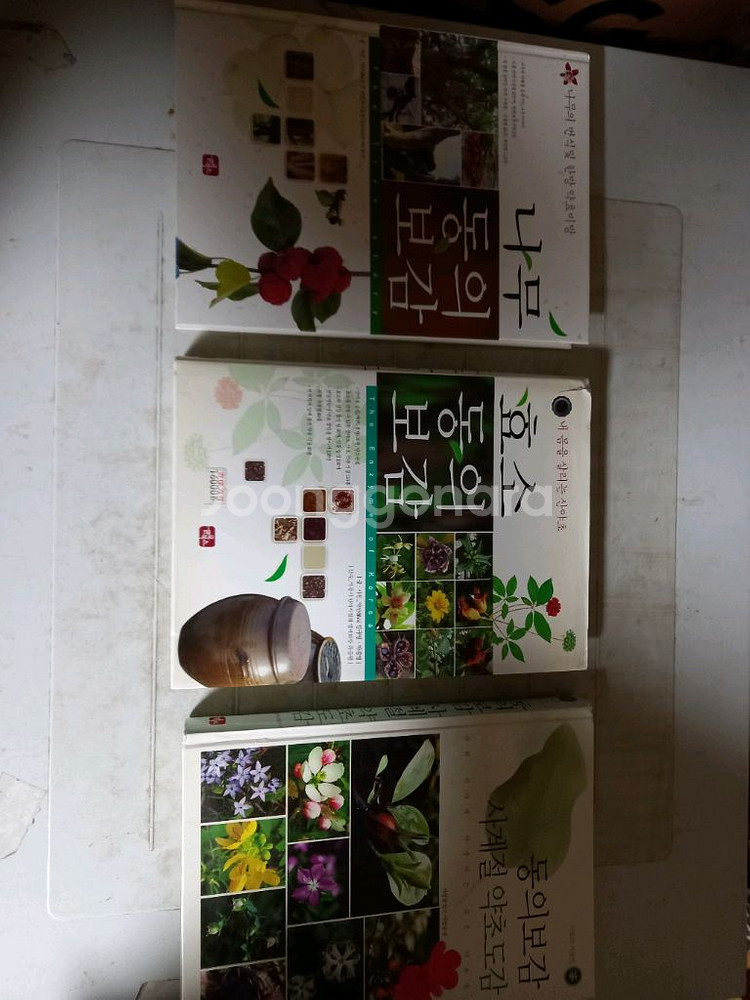 나무 동의보감 효소 동의보감 사계절 약초도감 3권 일괄--0