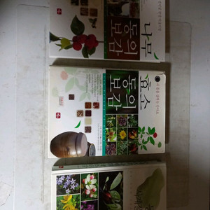 나무 동의보감 효소 동의보감 사계절 약초도감 3권 일괄