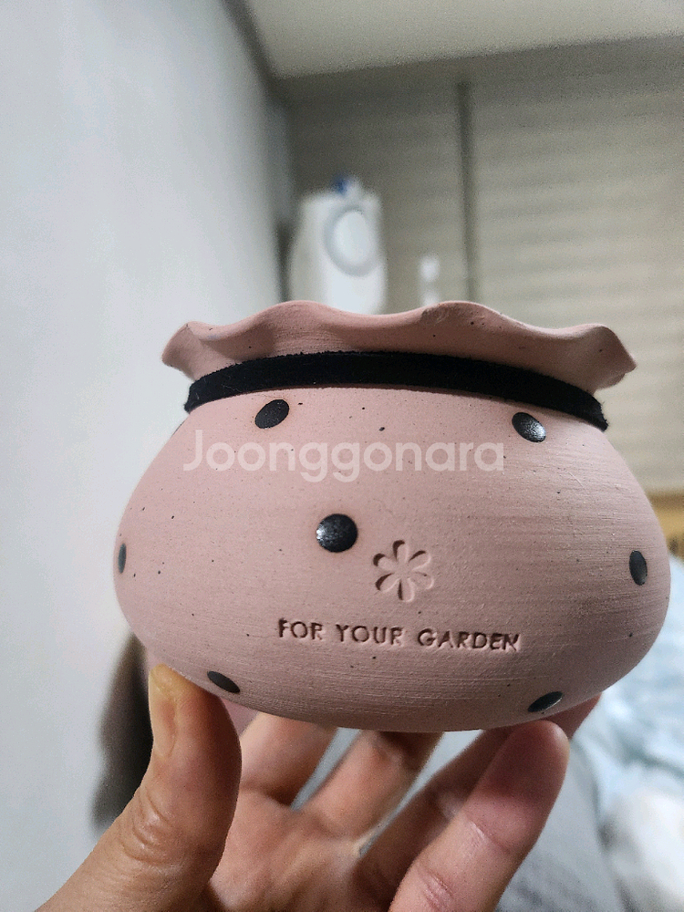 디어마이팟,디마토,디어마이토분--3