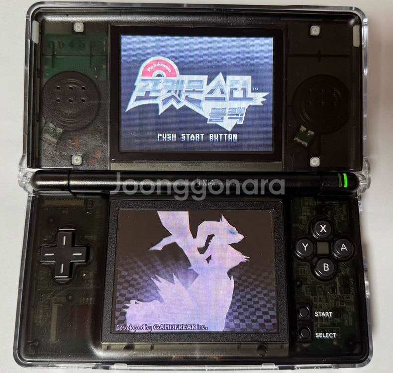 닌텐도 DS 포켓몬스터 블랙 알칩--2