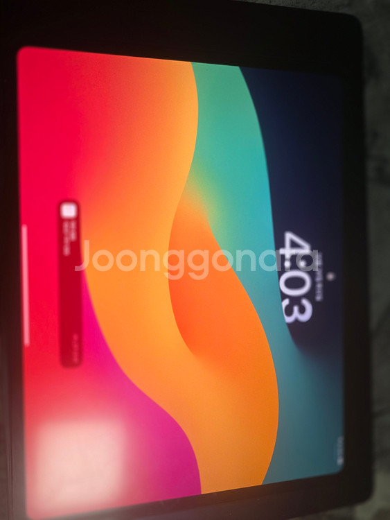 아이패드프로 m4 13 256 wifi +애플펜슬--0