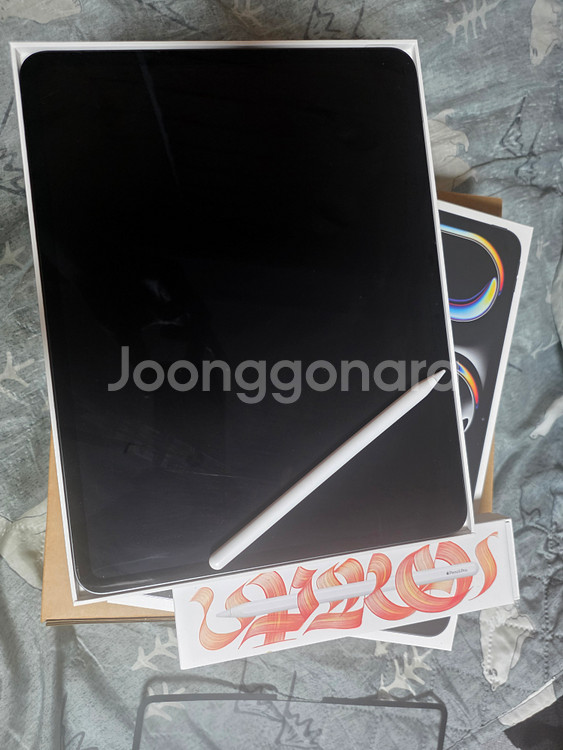 아이패드프로 m4 13 256 wifi +애플펜슬--3