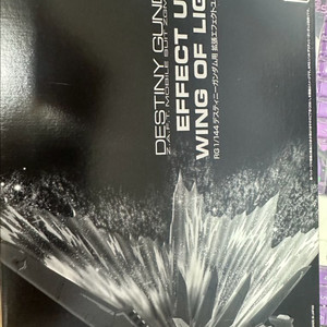 RG 데스티니 티타늄 피니쉬. 빛의 날개 일괄