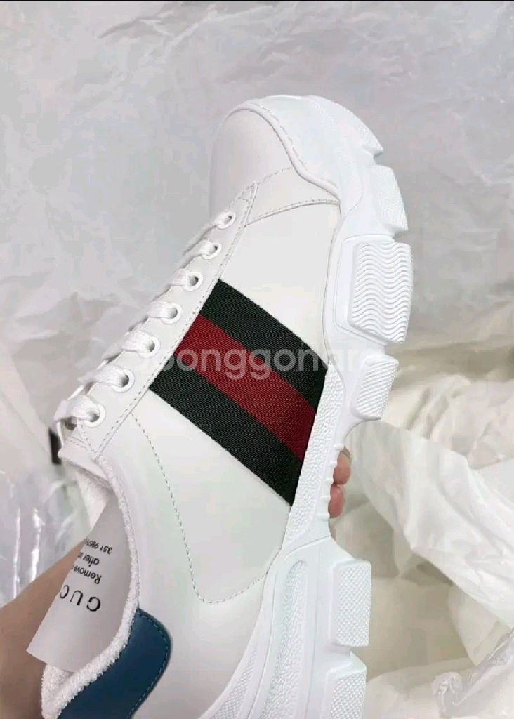 구찌 웹 스니커즈 6사이즈 250-255--1