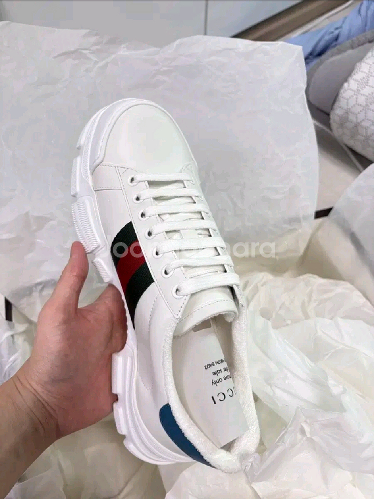 구찌 웹 스니커즈 6사이즈 250-255--0