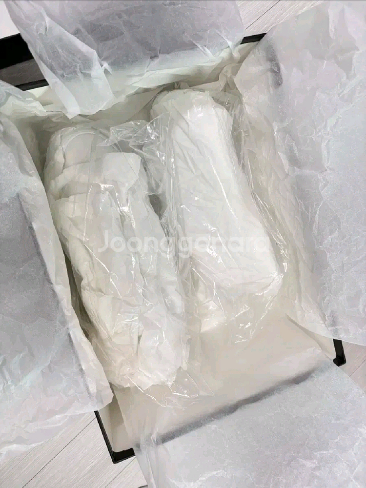 구찌 웹 스니커즈 6사이즈 250-255--3