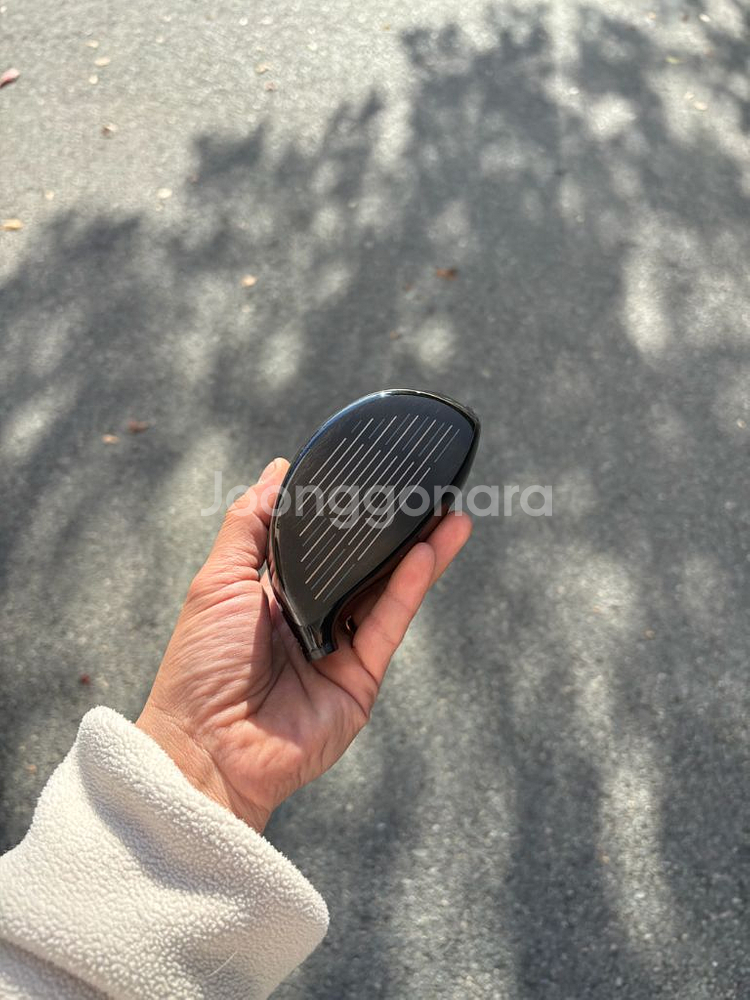 골프 프로그레스 BB6 드라이버헤드 9.5도--5