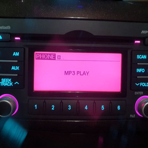 그랜드카니발 블루투스오디오