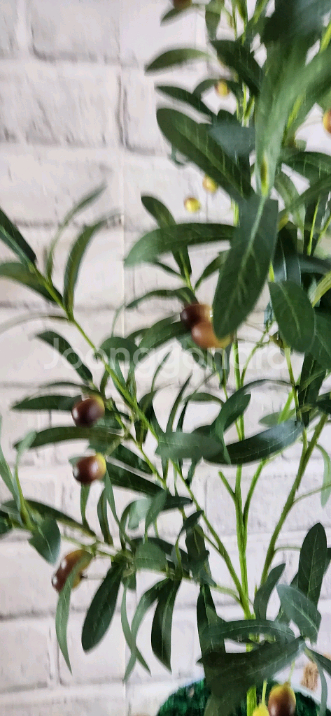 새상품)대형 올리브나무조화 대형철제 화분--1