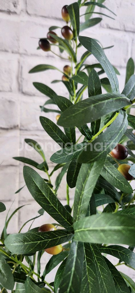 새상품)대형 올리브나무조화 대형철제 화분--6