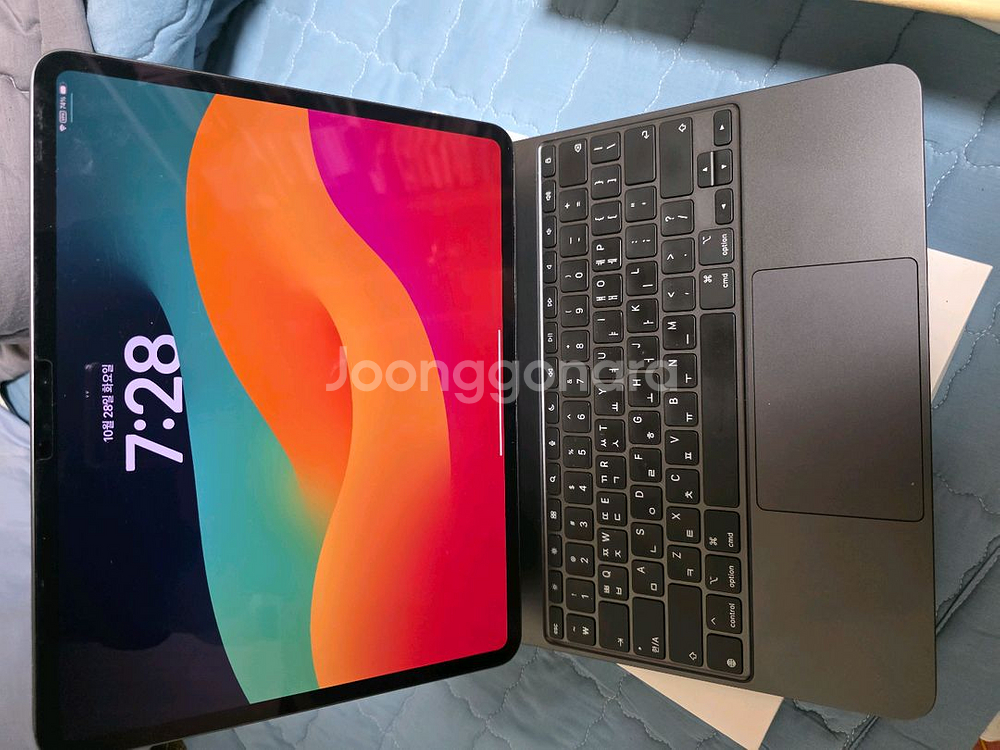 아이패드 프로 M4 13인치 512GB WiFi--2