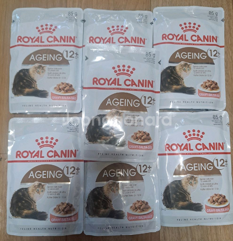 로얄캐닌 캣에이징 파우치 7개 일괄--1