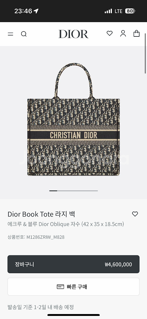 디올 오블리크 북토트백 라지--0