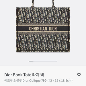 디올 오블리크 북토트백 라지