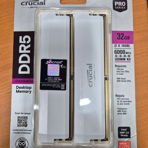 [경산]마이크론 DDR5 PRO 6000 화이트