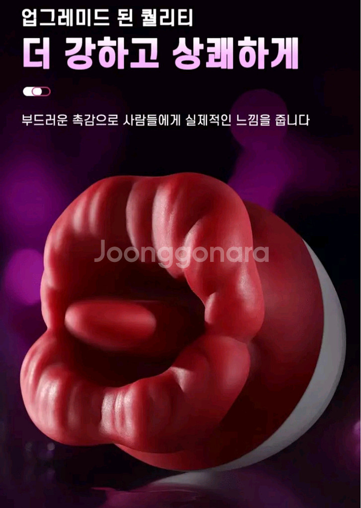 성인 용품 세트--5