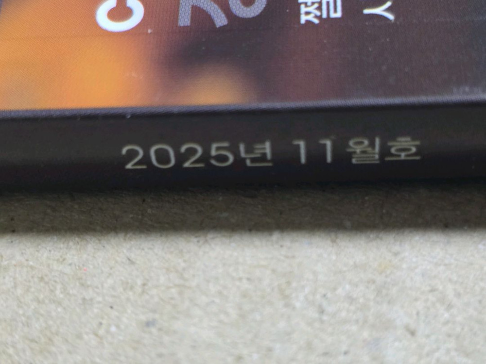 2025년 11월호 맥심잡지 정기 s타입 팝니다--2