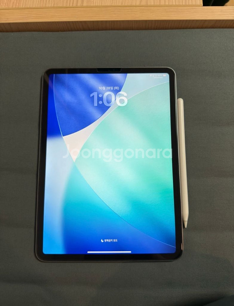 아이패드 프로4세대 11인치 + 애플펜슬 + 케이스--0