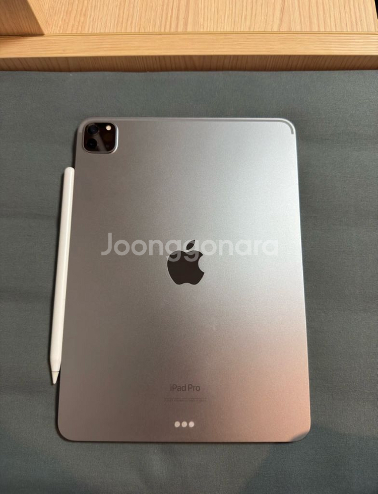 아이패드 프로4세대 11인치 + 애플펜슬 + 케이스--1