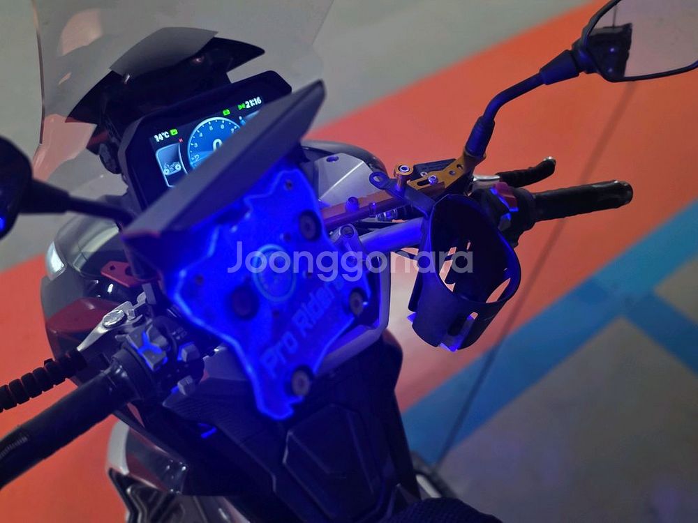 kr모터스 케이윈125 24년식 pcx,nmax,크루심--5