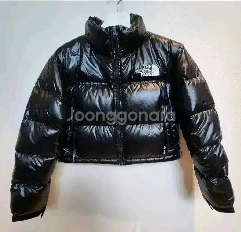 노스페이스 여성 눕시 구스다운 패딩 숏자켓 85S 새제--1