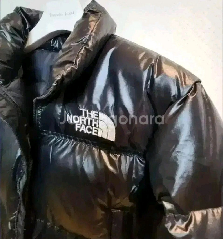 노스페이스 여성 눕시 구스다운 패딩 숏자켓 85S 새제--3