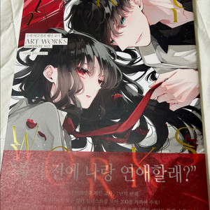 추락여고생과 폐인교사 art book 일러스트북 띠지