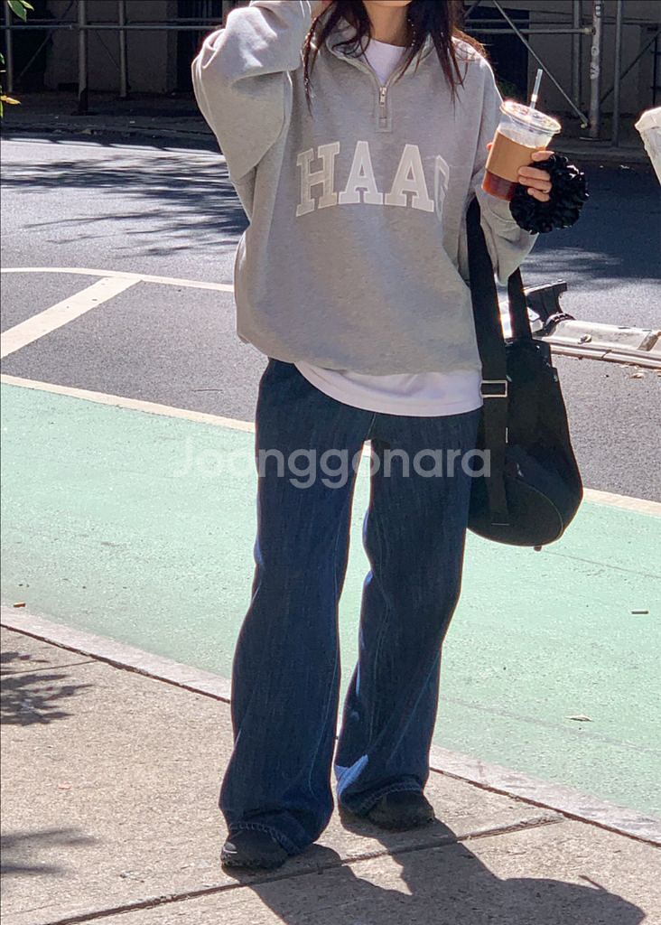 헤이그 a haag half zip-up grey 집업--1