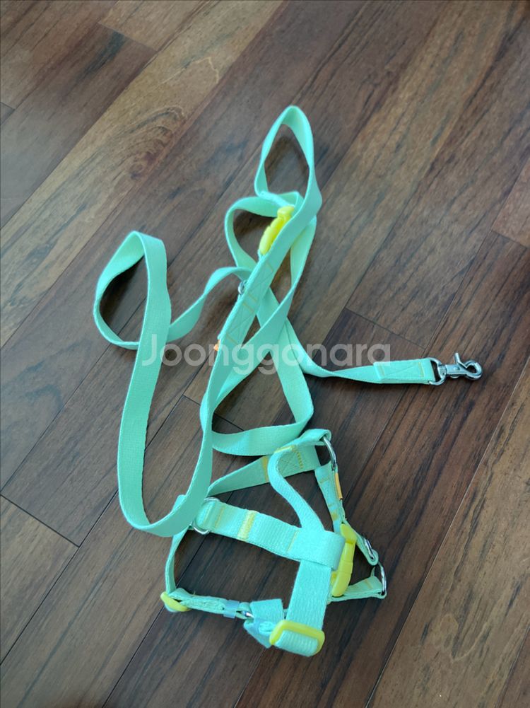 바잇미 캔디크레용 하네스 리드줄세트--0