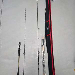 코우가 n50 ,솔티가 히라메3파워