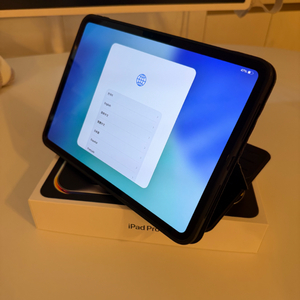 iPad Pro 11 M4 셀룰러 애플케어+ 스페이스