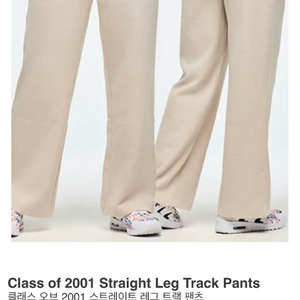 줌바 팬츠 사이즈 m