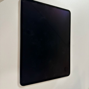 아이패드 프로 m4 13인치 셀룰러 256기가 실버