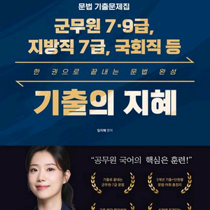 2026 지혜국어 문법 기출문제집 기출의 지혜 [새책]