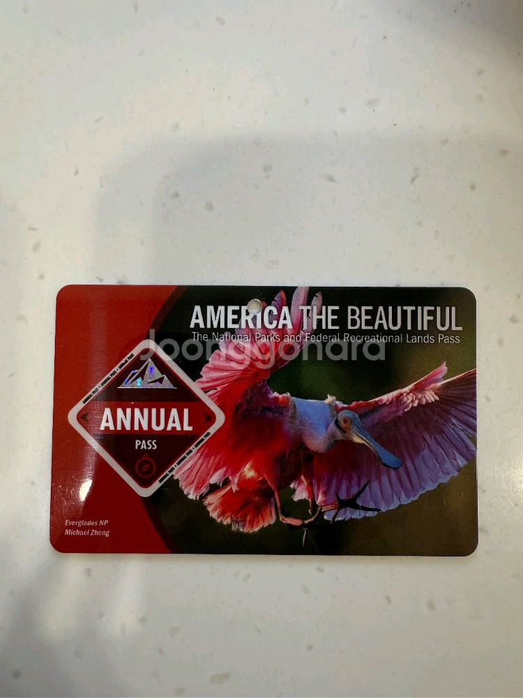 애뉴얼패스(26년 9월)--0