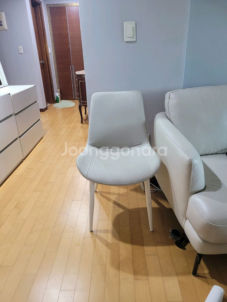 디자인의자 인테리어의자 2개 식탁서재--1