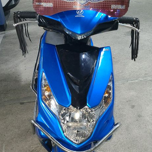 대림 VN100F 오토바이