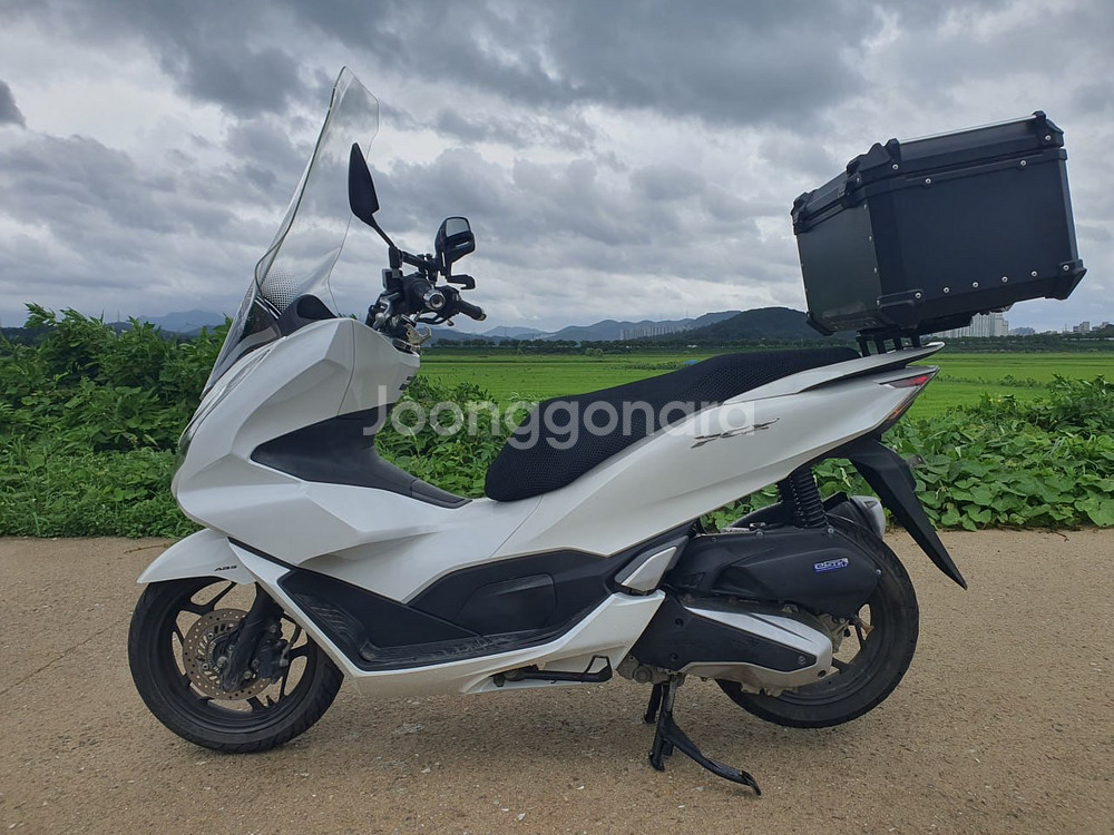 특가) S급 22년식 PCX125 2만5천KM 상태 최--1